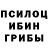 Псилоцибиновые грибы Psilocybine cubensis JUE last