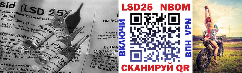 блэк спрут   Ладушкин  Лсд 25 экстази кислота 
