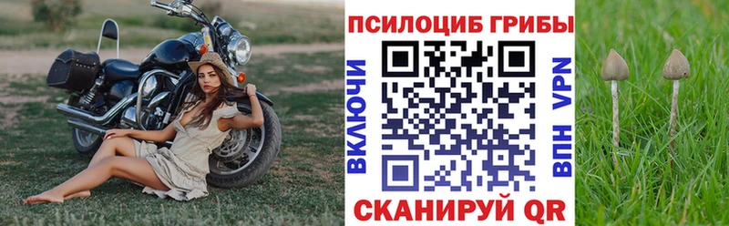 как найти наркотики  blacksprut tor  Галлюциногенные грибы MAGIC MUSHROOMS  площадка телеграм  Ладушкин 